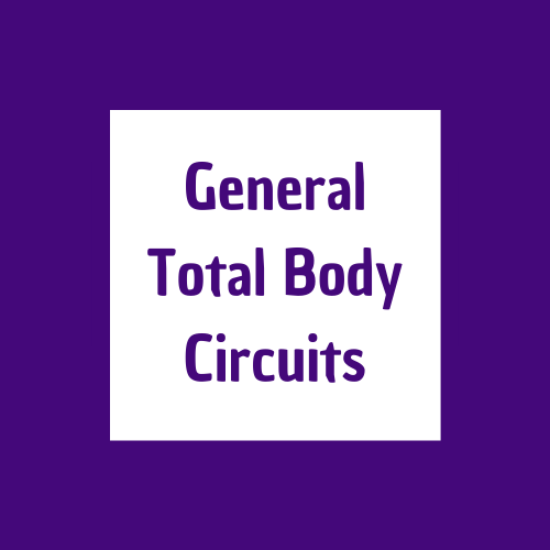 Total Body Bodyweight Circuit