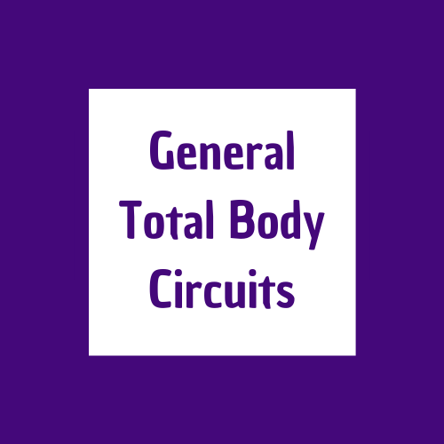 Basic Bodyweight Circuit
